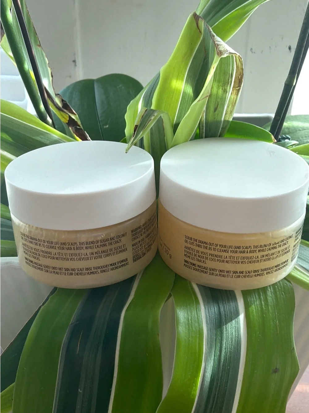 OUAI Scalp & Body Scrub Pair - White Lids with Yellow Jars